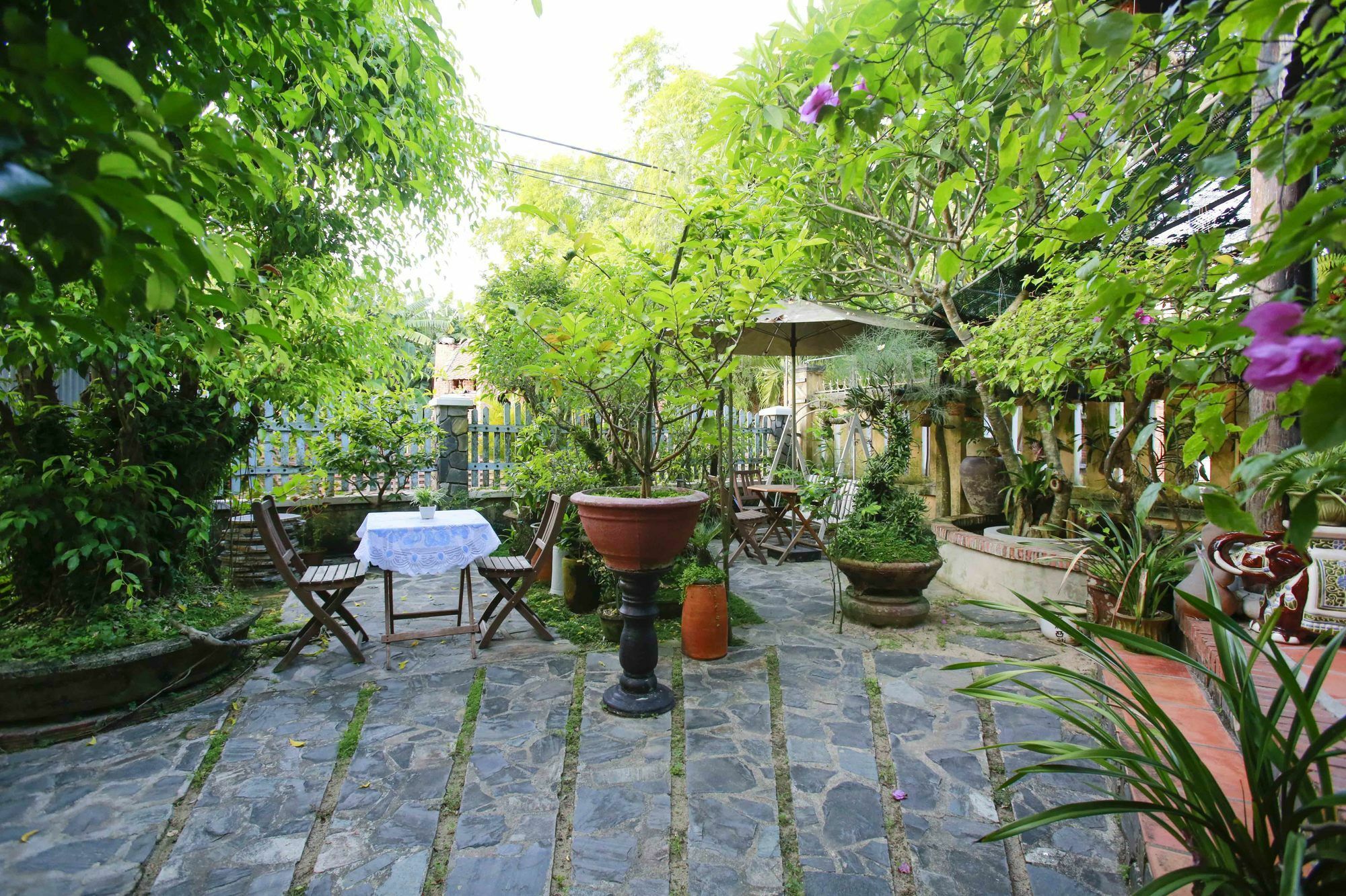 Terra Cotta Homestay Hoi An Eksteriør billede